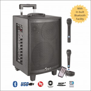 Portable P.A. Systems (19)